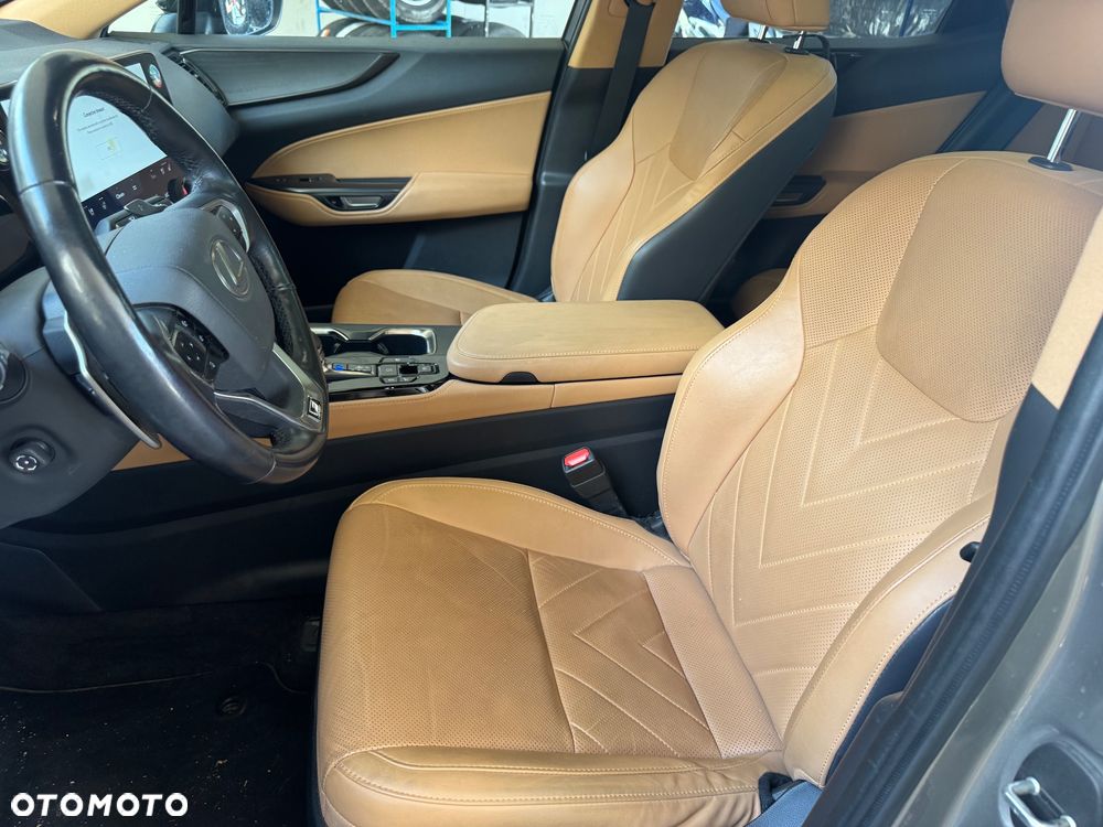 Lexus NX 350h F Sport AWD - 17