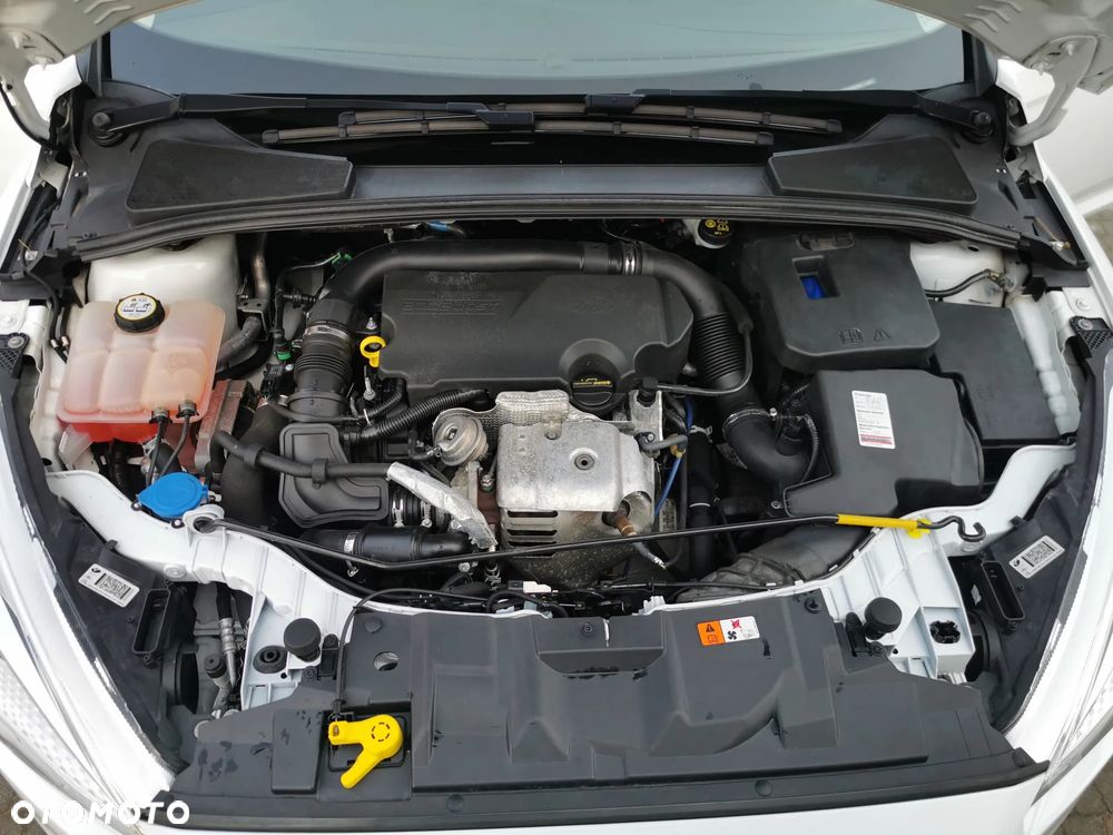 Ford Focus 1.0 EcoBoost 99g Trend Sport - 26