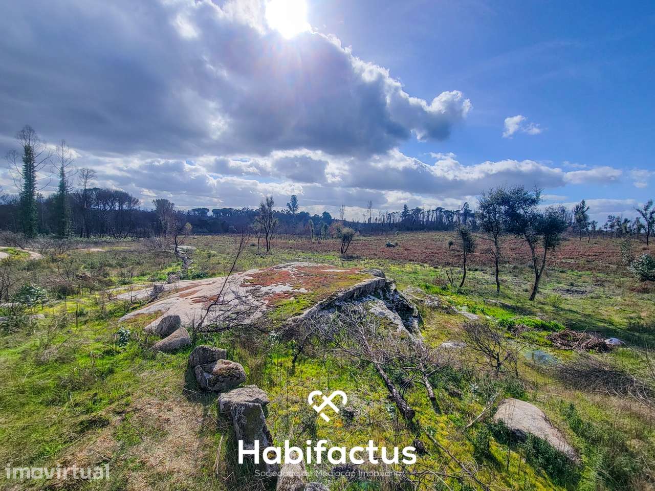 Terreno Rústico com 16.800 m², Vinhas, Árvores de Fruto e 3 Poços de Á - Grande imagem: 3/15
