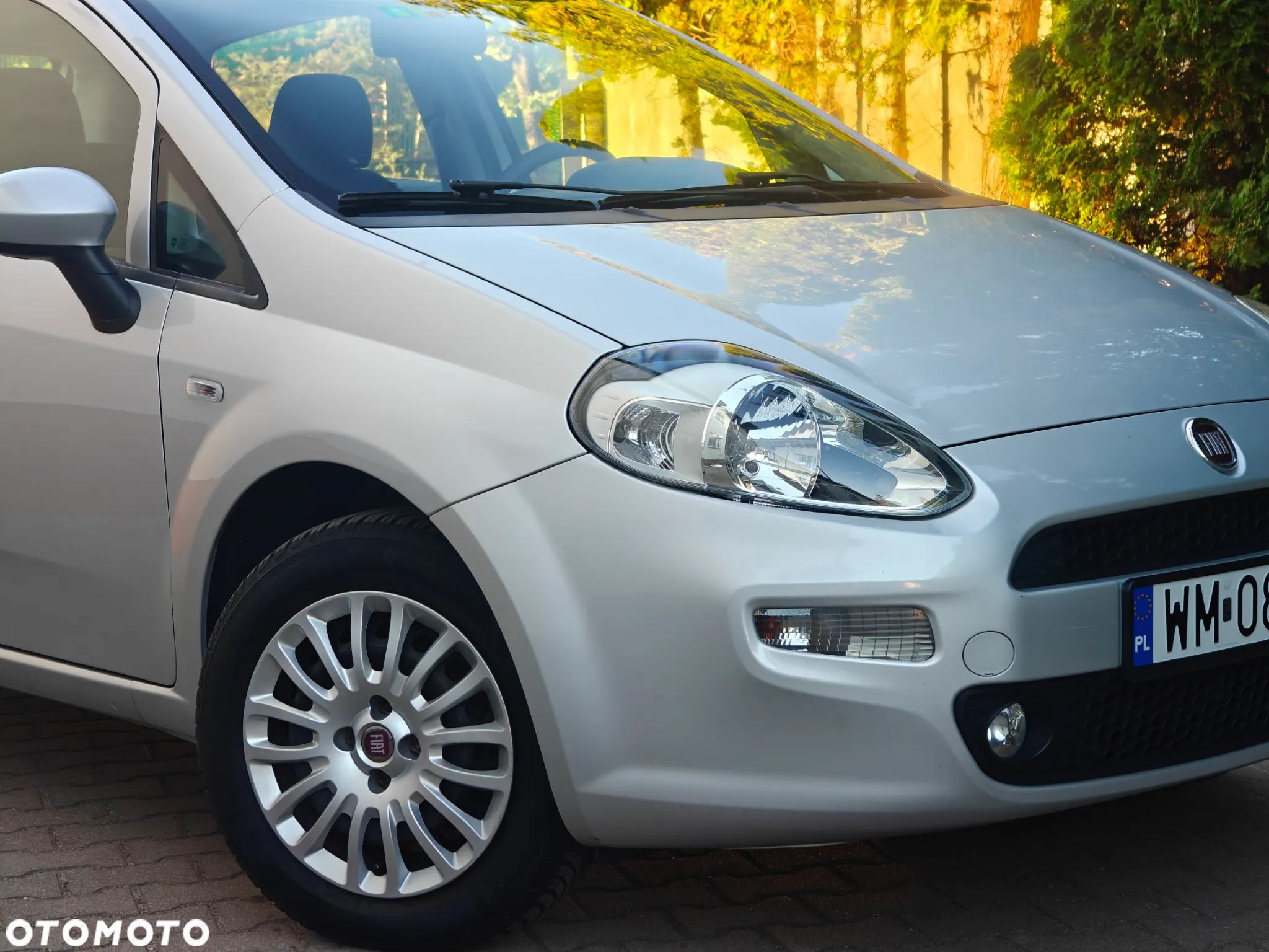 Fiat Punto - 1