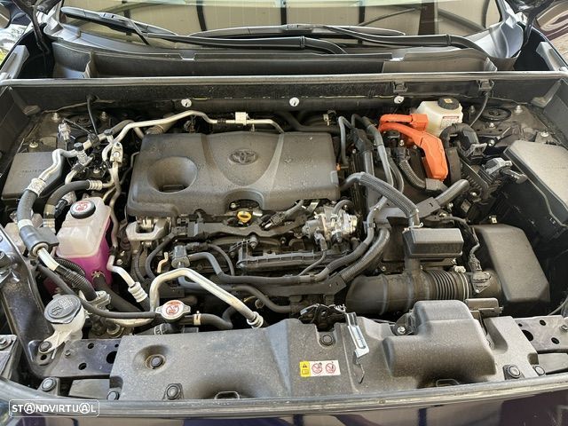 Toyota RAV4 2.5 HDF Exclusive +P.Luxury AWD-i - 14