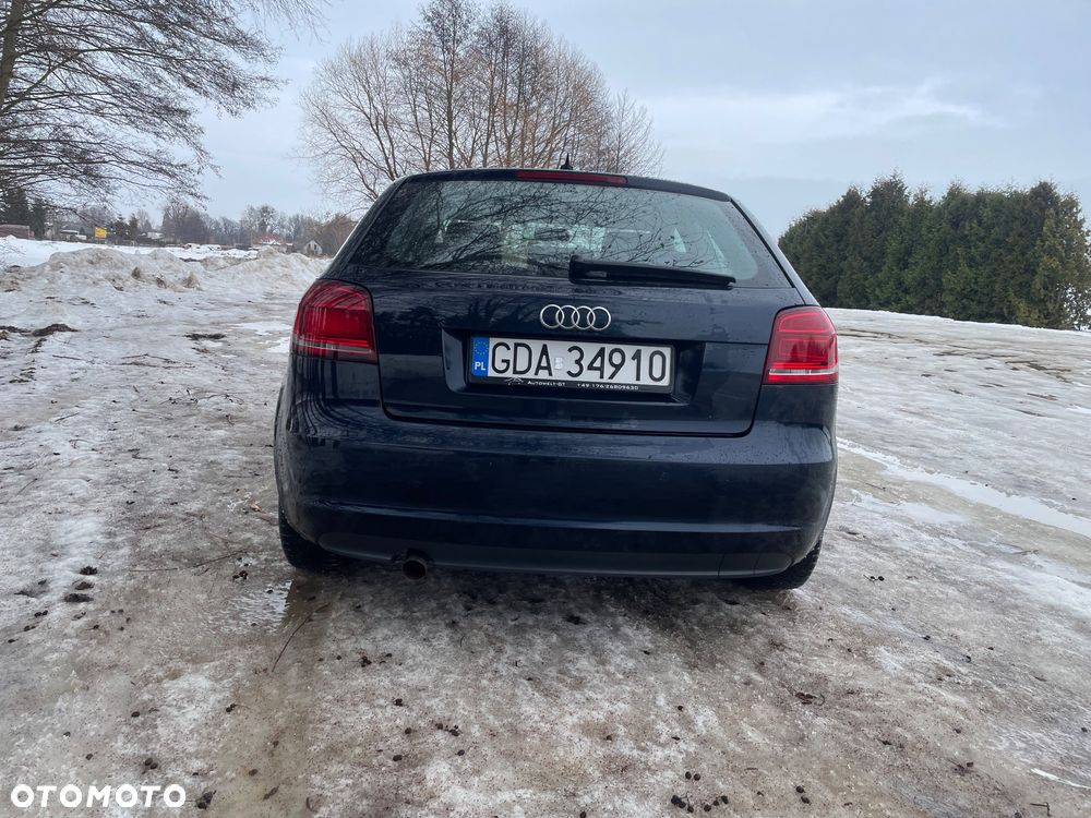 Audi A3 3-drzwiowe 1.6 TDI DPF Ambiente - 12