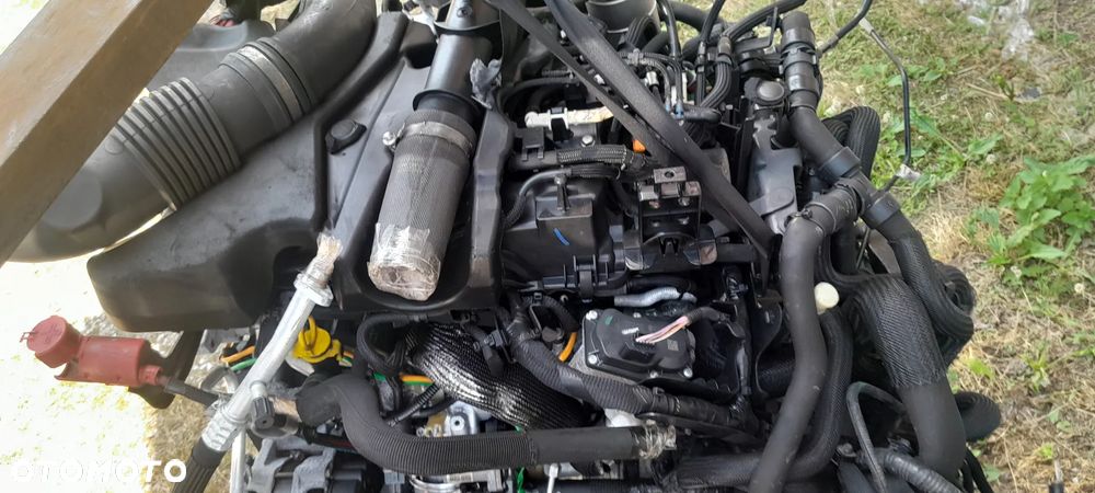 RENAULT MASTER III LIFT IV 2.3 DCI 2022 ROK SILNIK KOMPLETNY 23.000 KM - 3