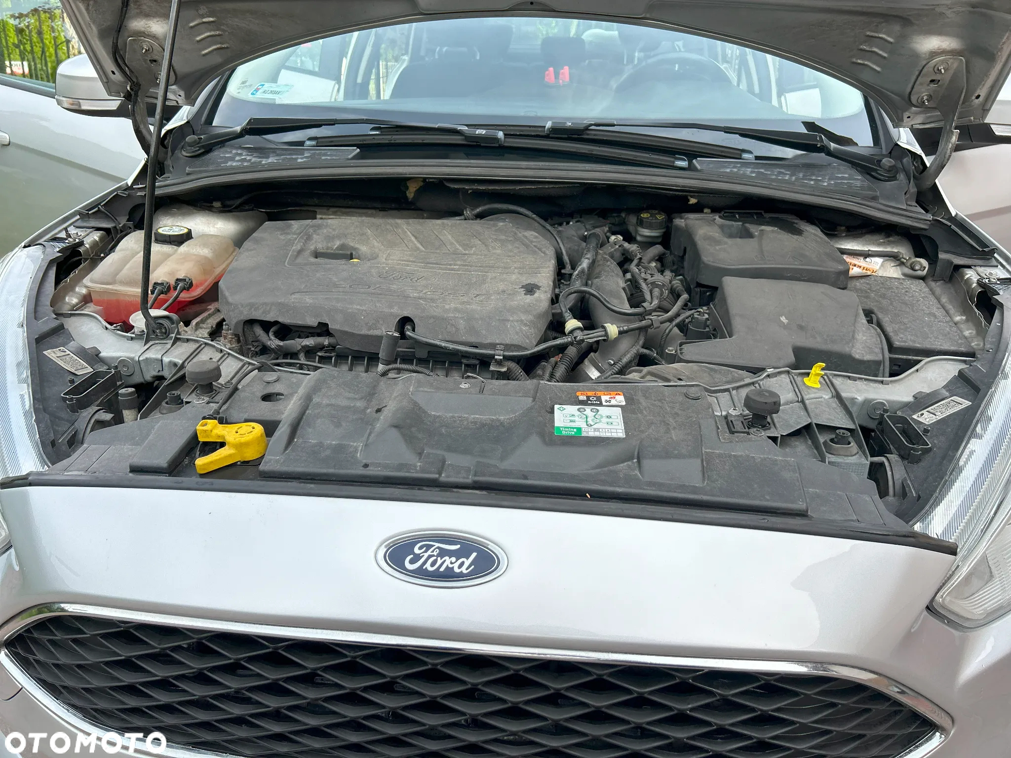 Ford Focus - 16