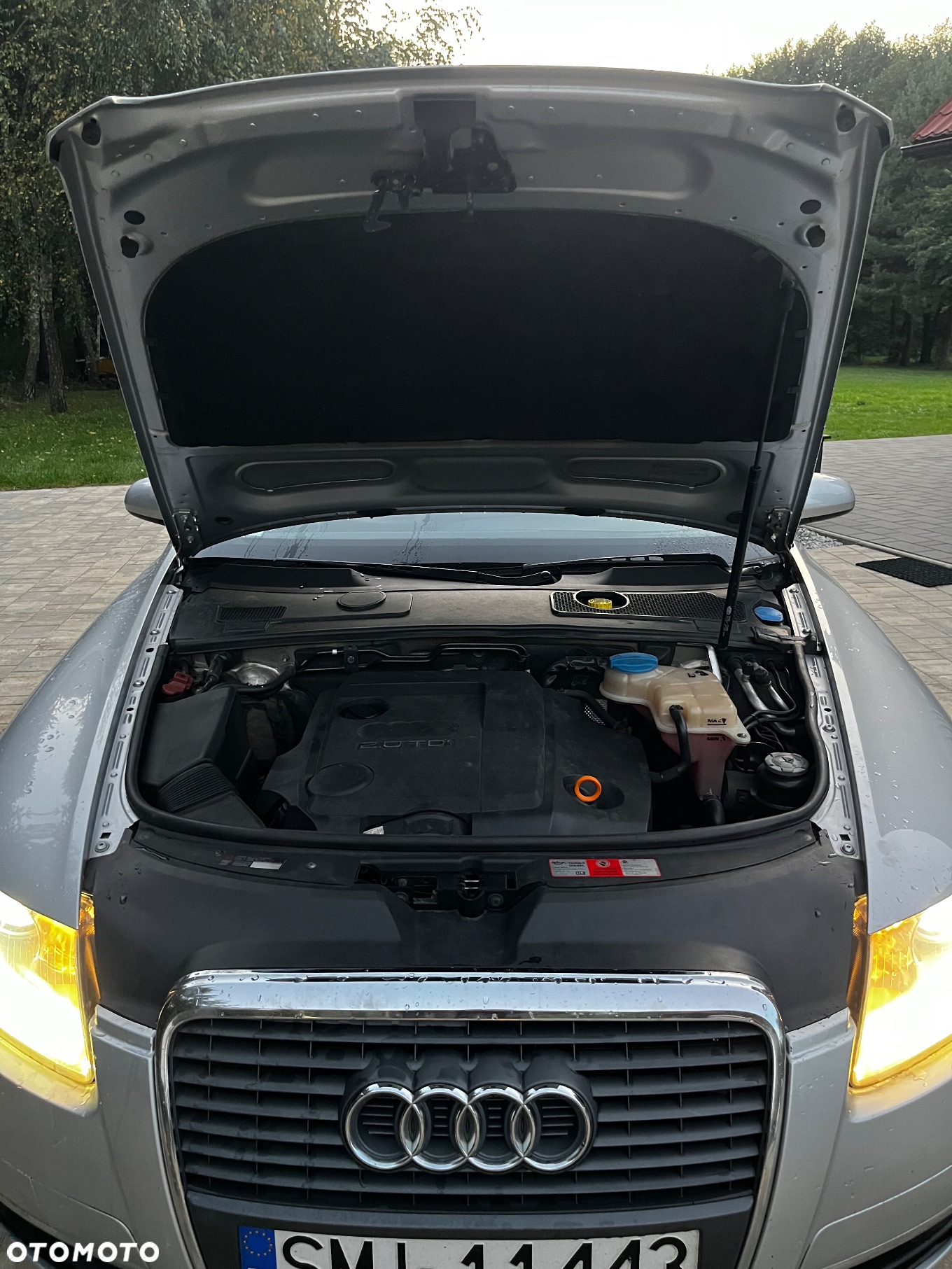 Audi A6 - 19
