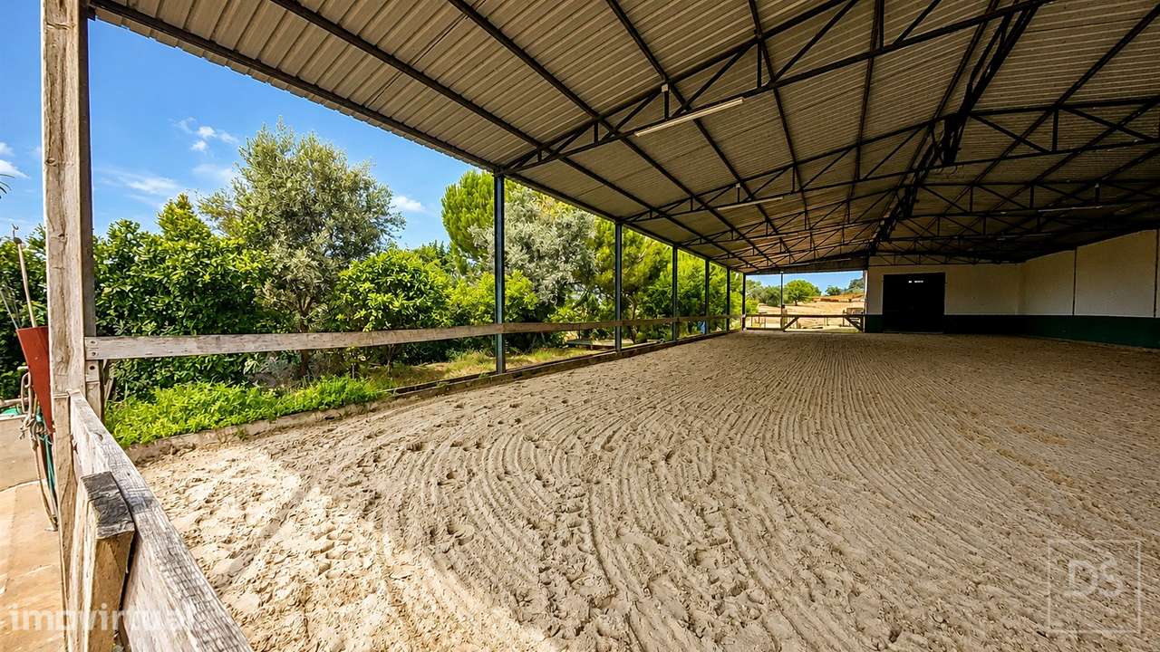 Quinta T7 Venda em Achete, Azoia de Baixo e Póvoa de Santarém,Santarém - Grande imagem: 3/25