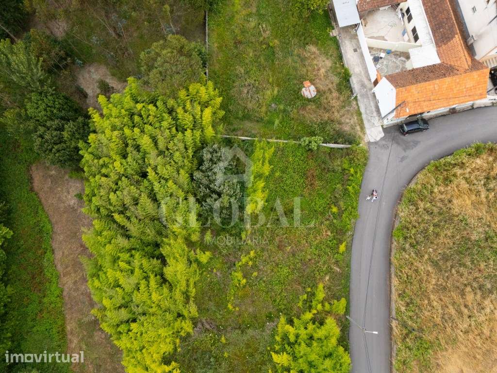 Terreno Barra - Grande imagem: 4/7