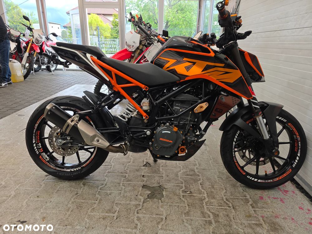 KTM Duke - 14