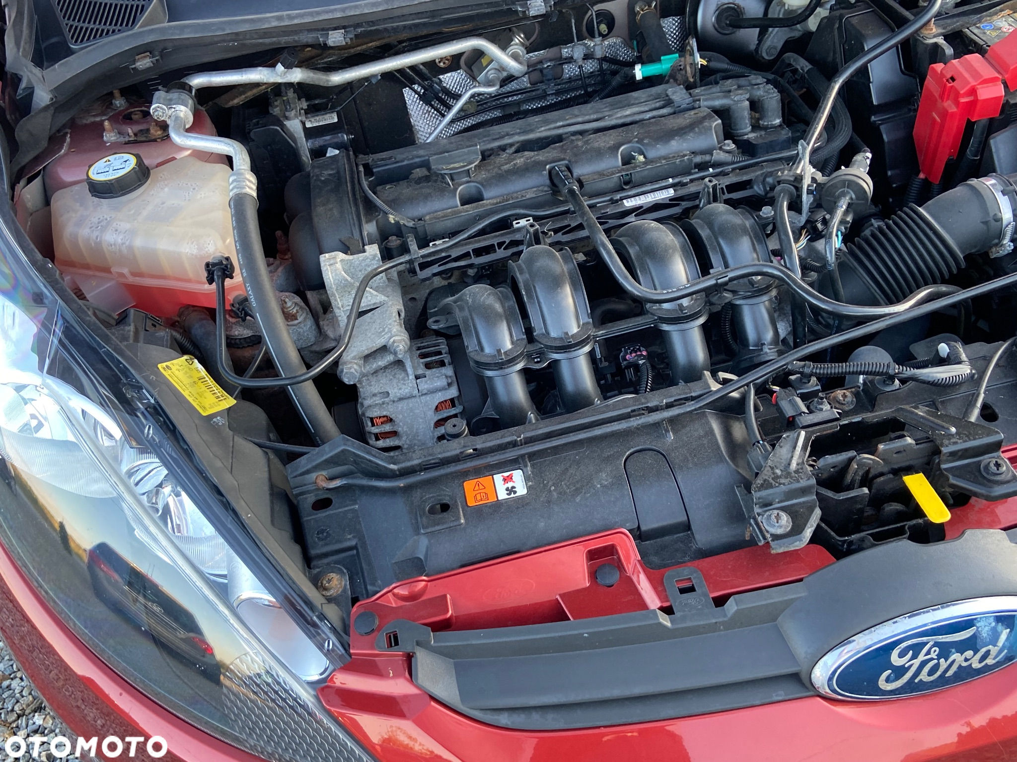 Ford Fiesta 1.25 Ghia - 25