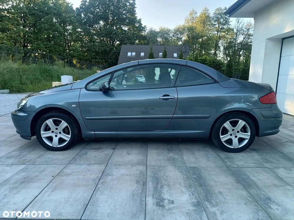 Peugeot 307 - 28