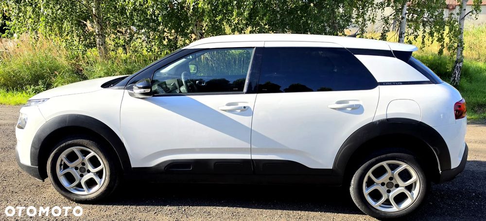 Citroën C4 Cactus PureTech 110 Stop&Start Origins - 14