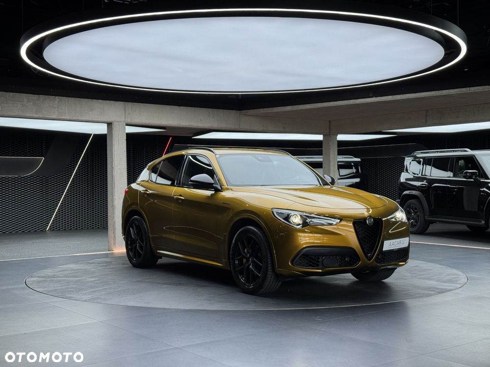 Alfa Romeo Stelvio 2.0 Turbo Veloce Q4 - 8