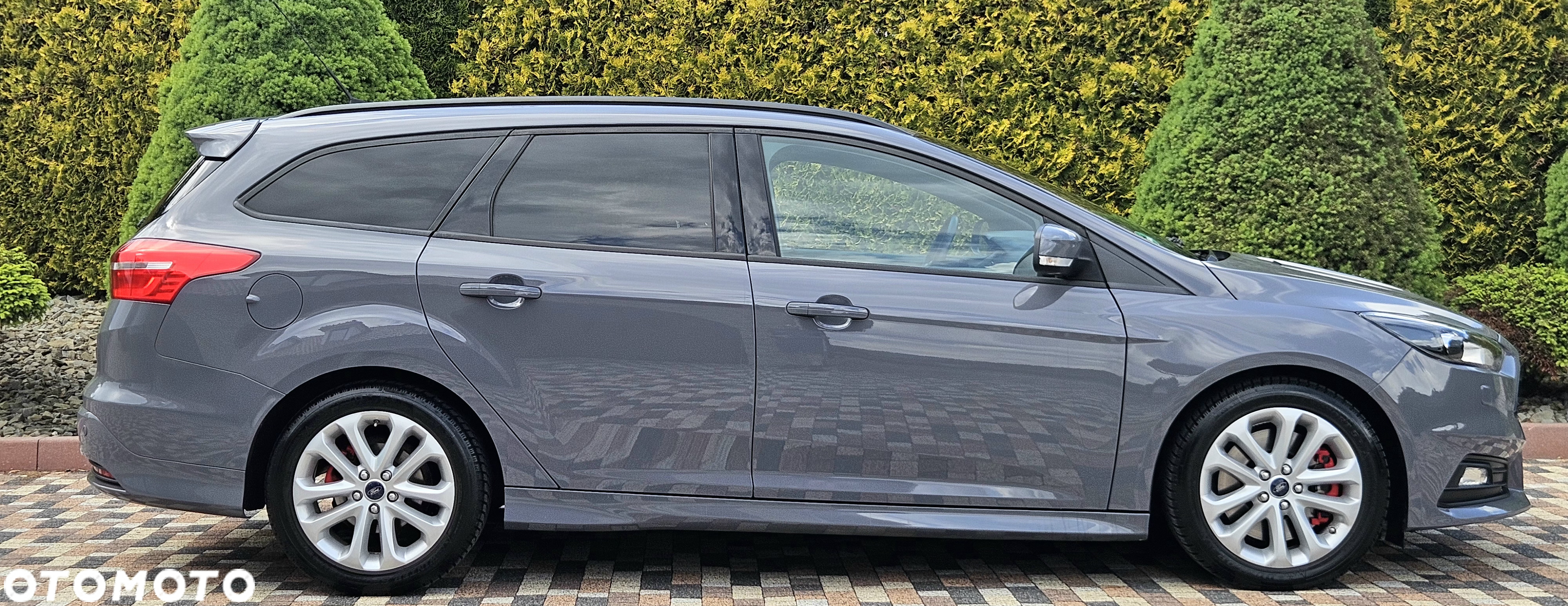 Ford Focus 2.0 EcoBoost ST - 14