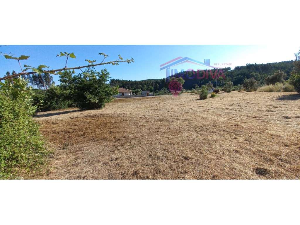 Terreno Urbano para Construção | 2.222 m² | Graça, Pedrógão Grande - Grande imagem: 3/8