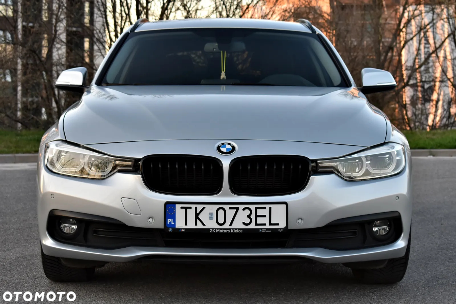 BMW Seria 3 318d Advantage - 2