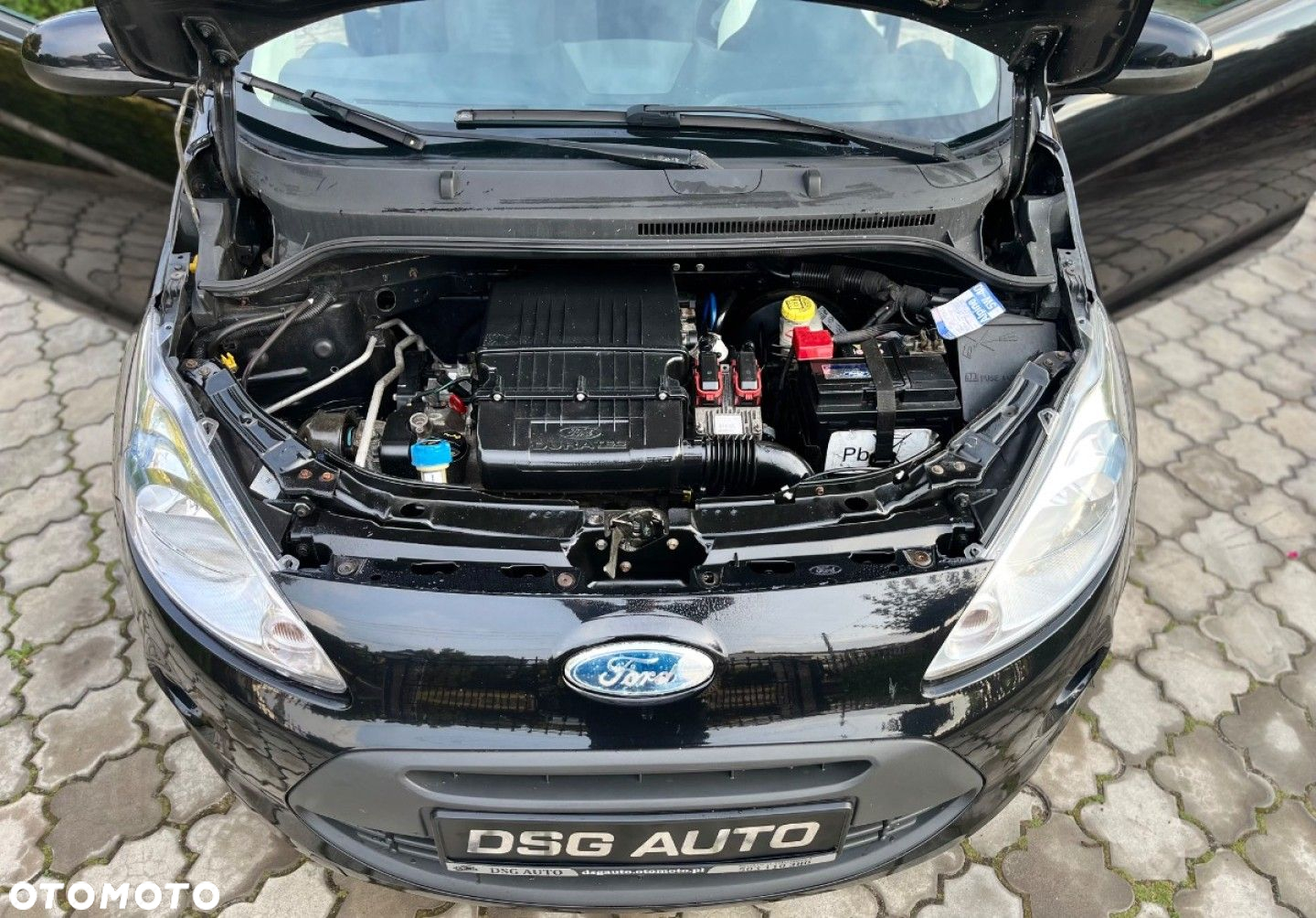 Ford KA - 29