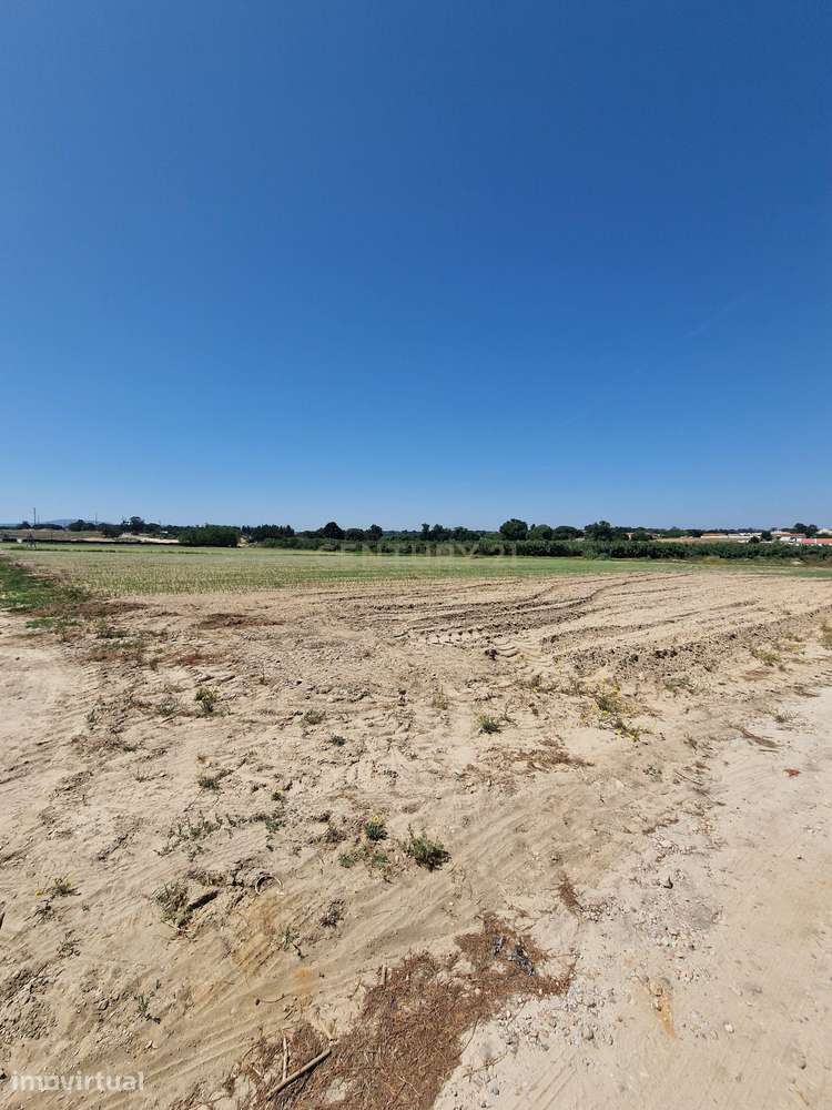 Terreno Rústico com 24.850 m² em Pinhal Novo, Palmela - Grande imagem: 5/7