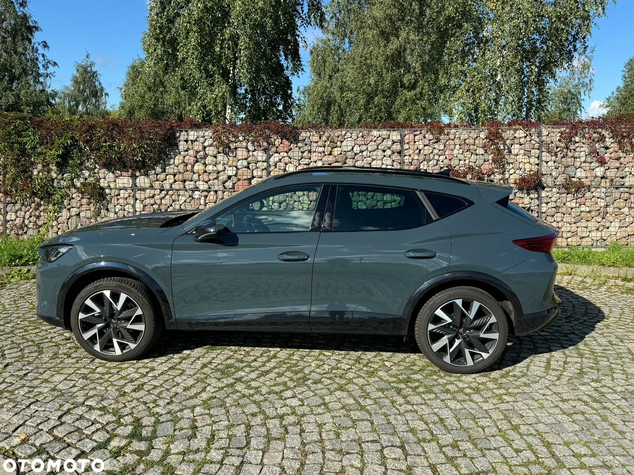 Cupra Formentor 1.5 TSI DSG - 3