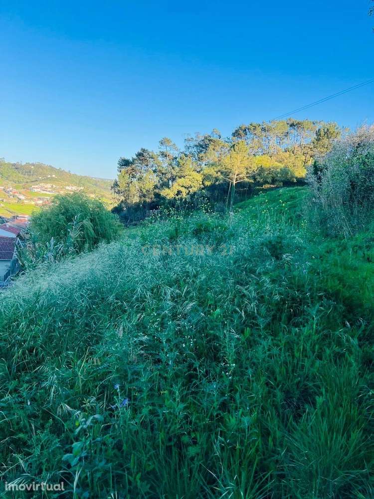 Terreno para construção no Vimeiro - Grande imagem: 3/5