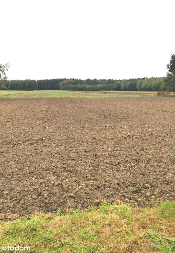 Dwie urokliwe działki w miejscowości Borowa - Pełny obrazek: 2/2