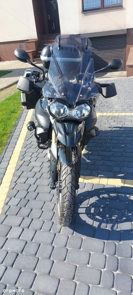 Triumph Tiger - 11