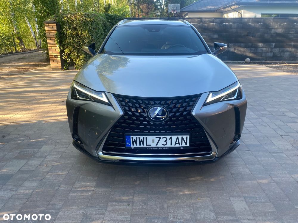 Lexus UX 250h GPF Business Edition 2WD - 18