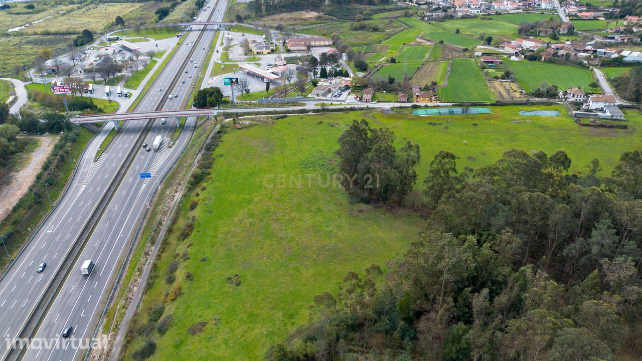 Terreno de 5,9 ha em São Mamede de Coronado – Excelente Potencial - Grande imagem: 5/7