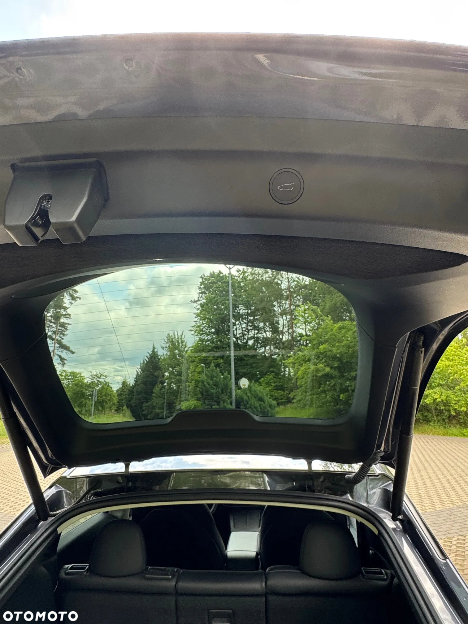 Tesla Y Model Long Range Dual Motor AWD - 30