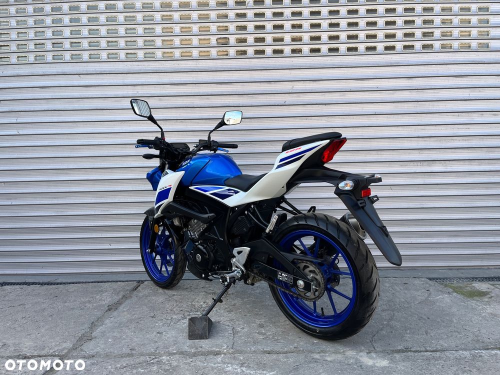 Suzuki GSX - 13