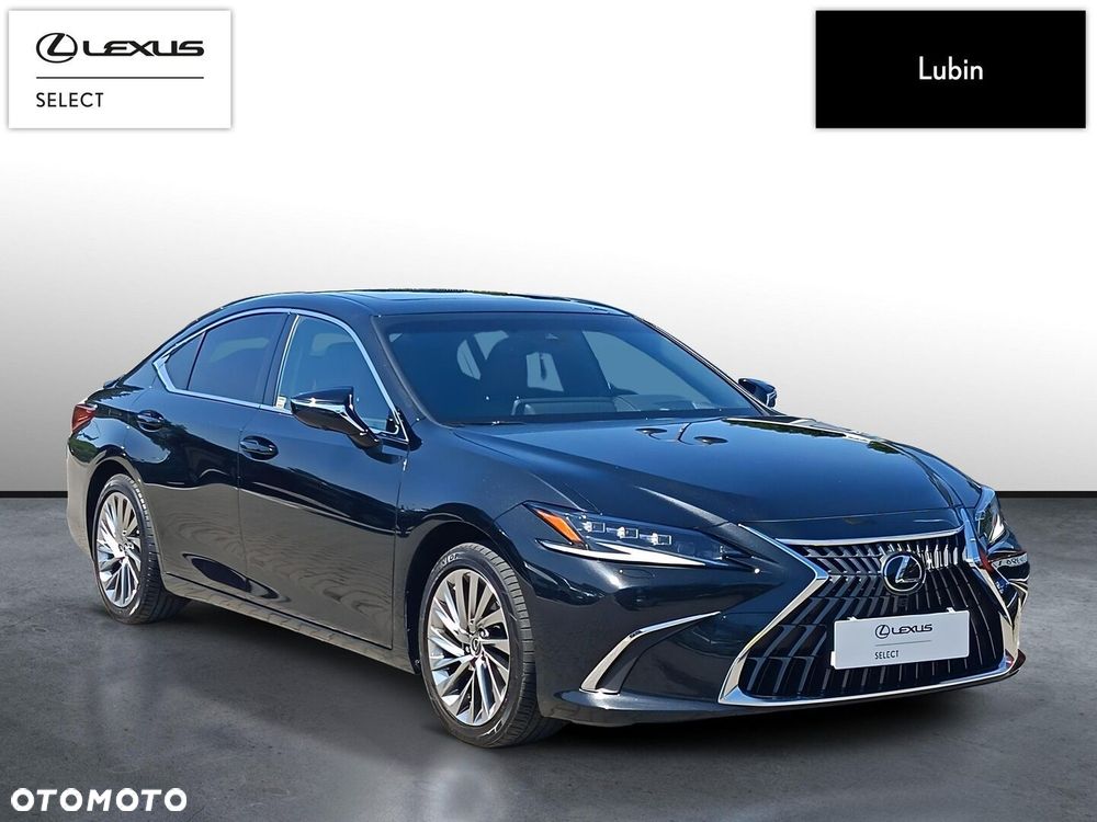 Lexus ES 300h Omotenashi - 8