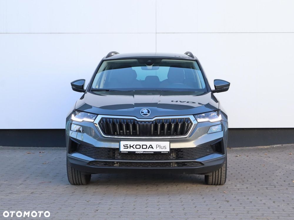 Skoda Karoq - 20