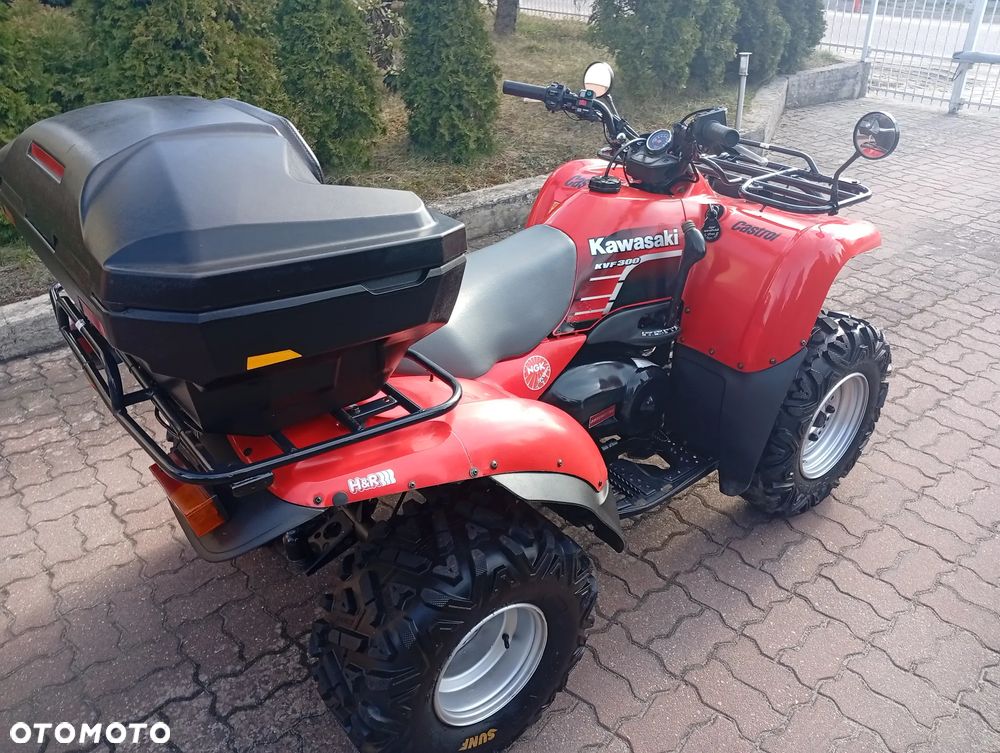 Kawasaki Brute Force - 11