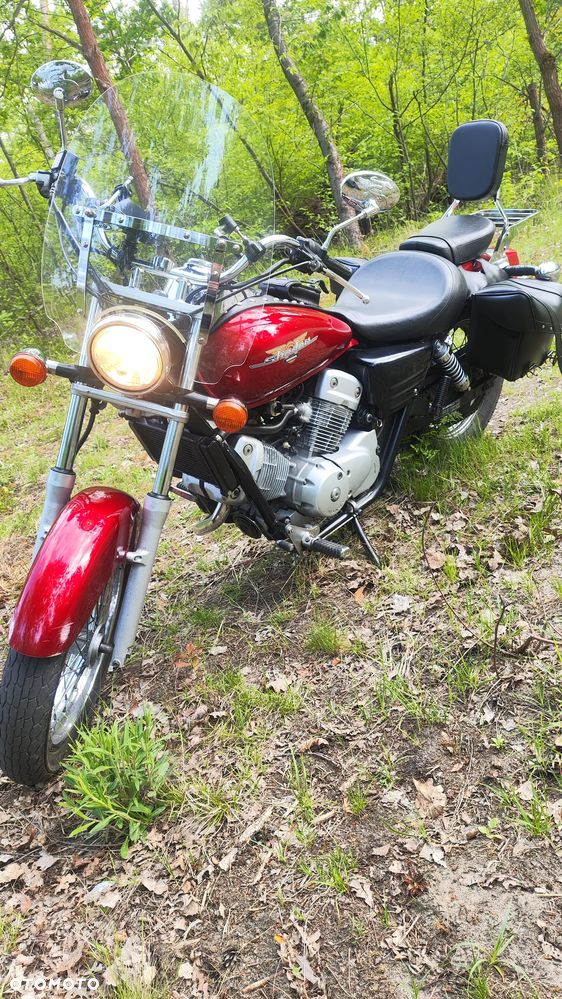 Honda Shadow - 5