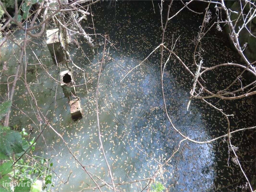 Quinta  para venda - Grande imagem: 3/30