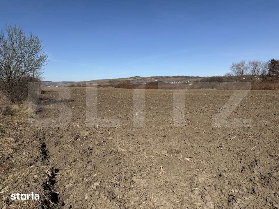 Teren extravilan in suprafata de 4000 mp in loc. Hereclean - Imagine principală: 2/3
