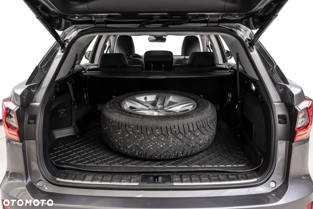 Lexus RX 450h (hybrid) Luxury Line - 6