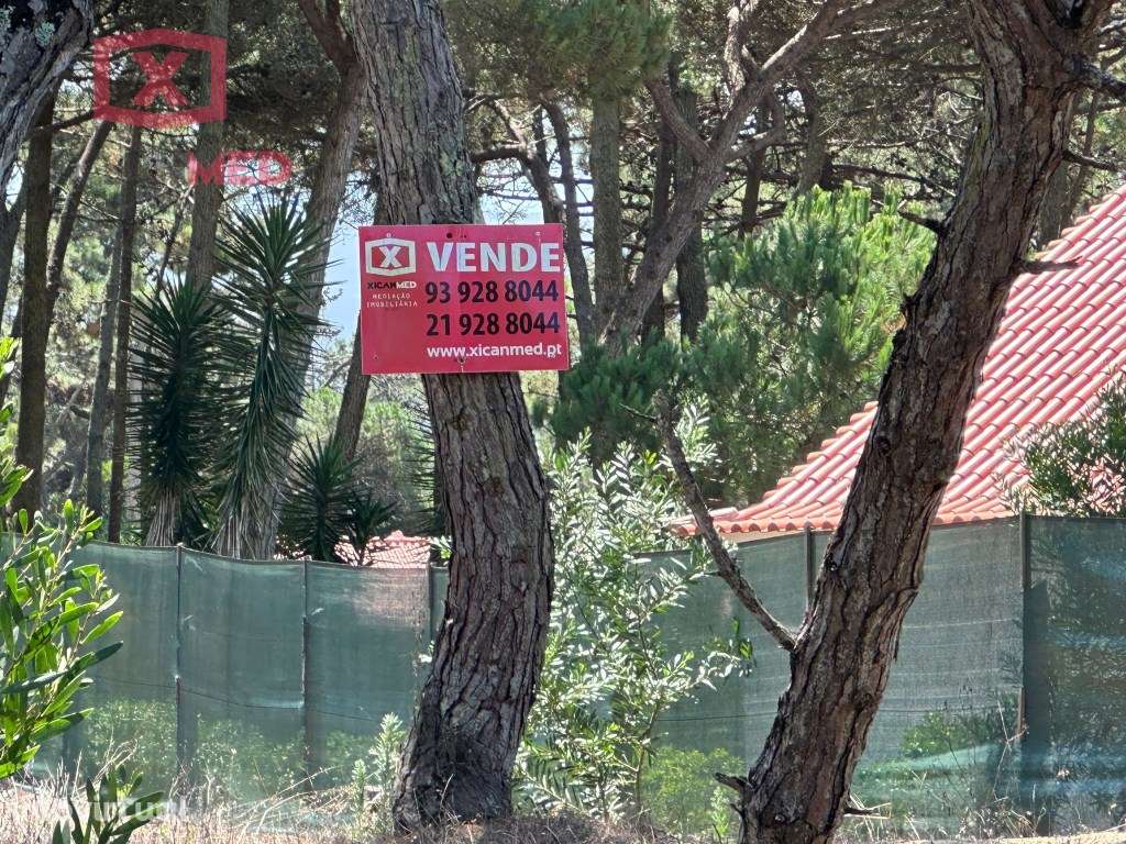 Areal - Janas - Grande imagem: 2/5