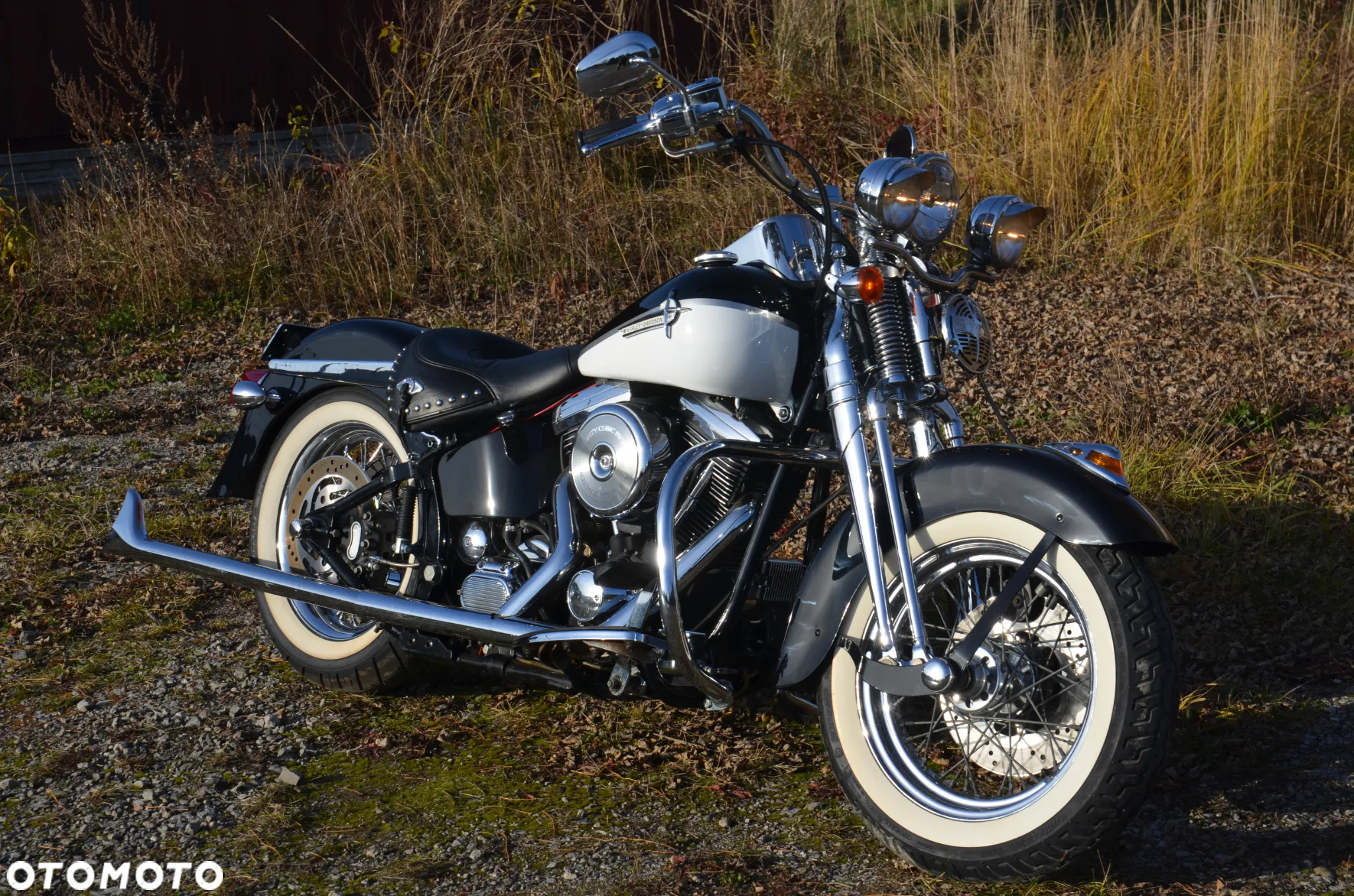 Harley-Davidson Softail Springer Classic - 13