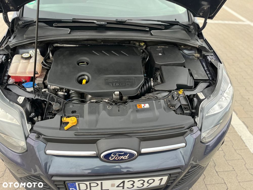 Ford Focus 1.6 TDCi ECOnetic 99g Start-Stopp-System Champions Edition - 13