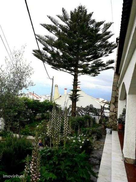 Moradia T2 c/ armazéns - Foros de vale de Figueira - Montemor-o-Novo - Grande imagem: 2/12