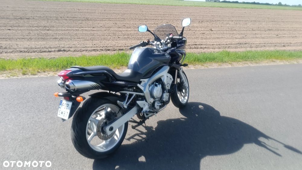 Yamaha FZ6 - 7