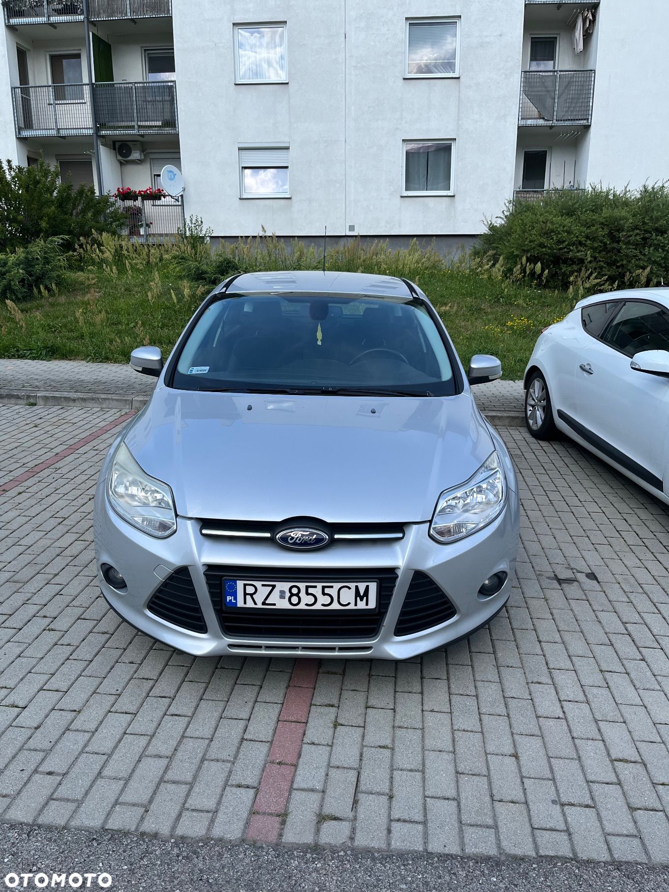 Ford Focus - 1