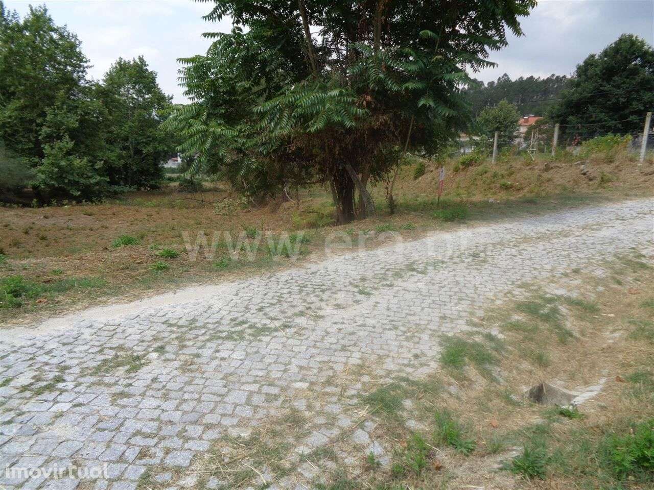 Terreno Rústico / Marco de Canaveses, Banho e Carvalhosa - Grande imagem: 3/6