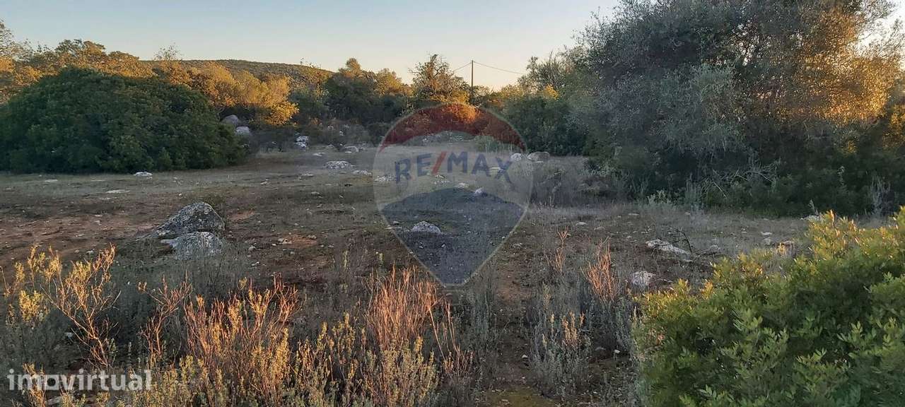Terreno  para venda - Grande imagem: 2/7