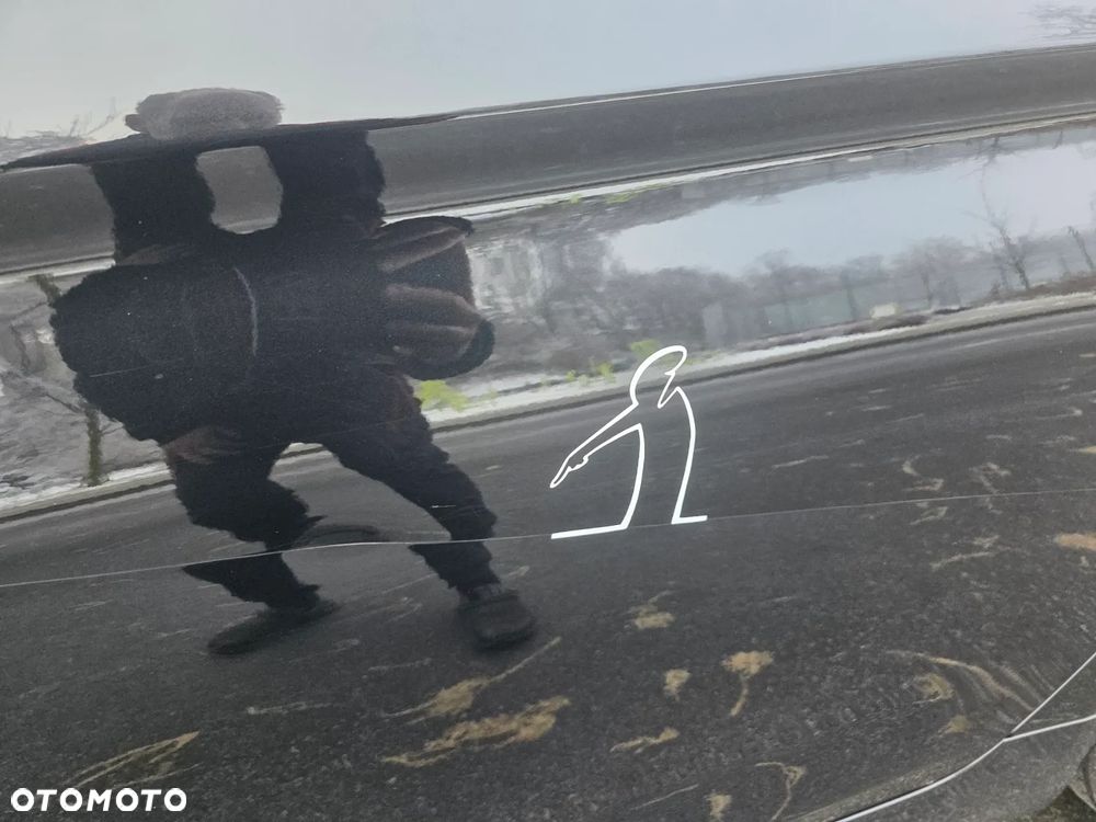 BMW Seria 5 518d Luxury Line - 23