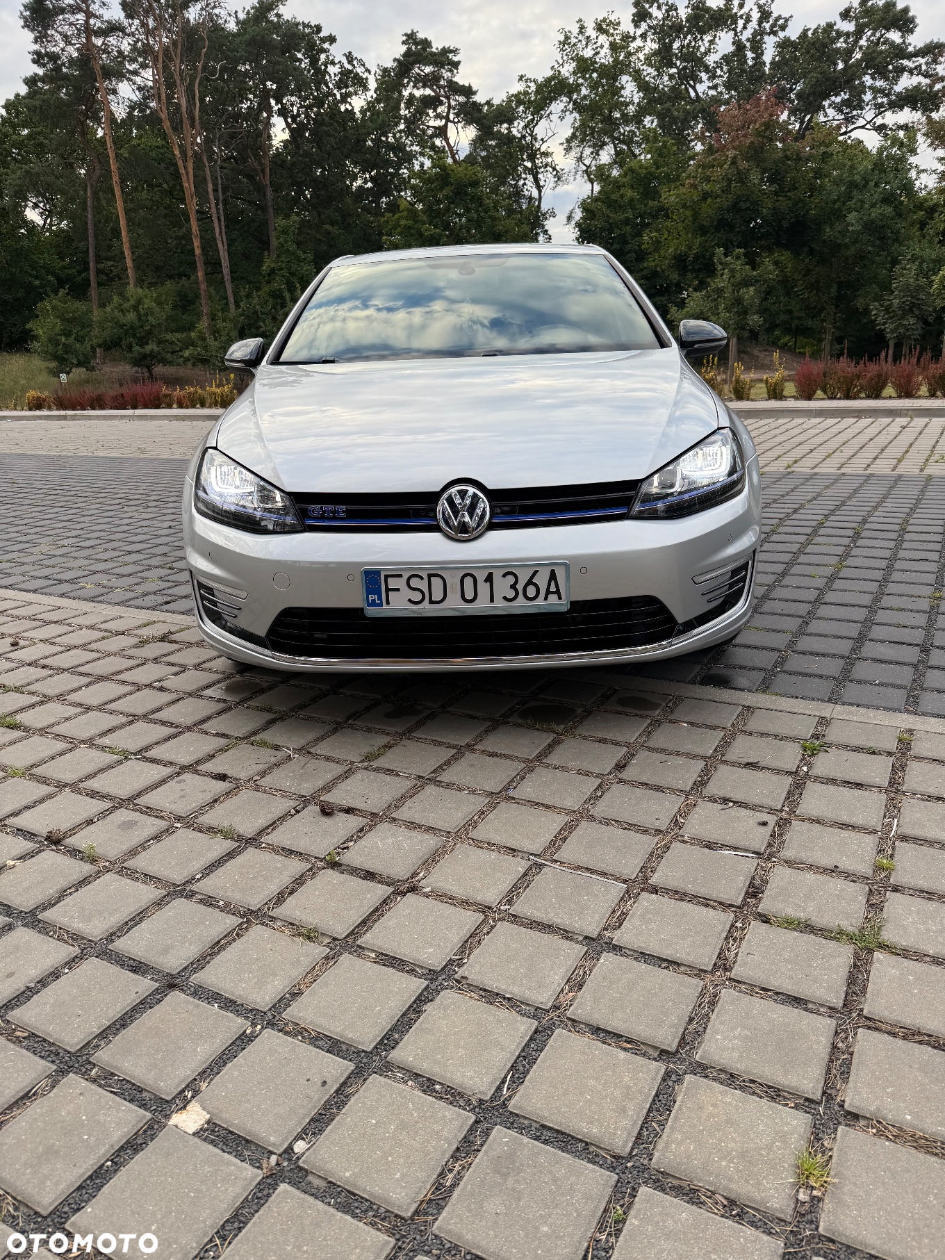 Volkswagen Golf - 9