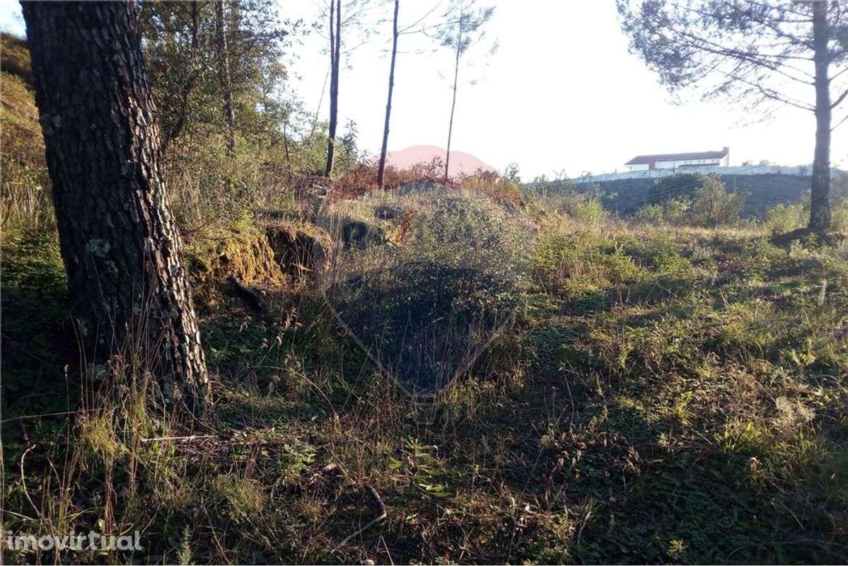 TERRENO PARA CONSTRUÇÃO - Grande imagem: 4/11