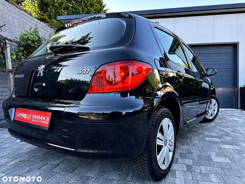 Peugeot 307 110 Premium - 28
