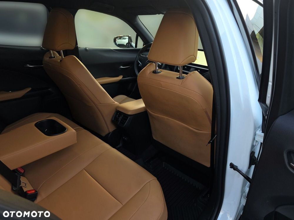 Lexus UX 250h GPF F Sport Design+ 2WD - 16