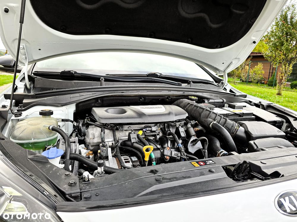 Kia ProCeed 1.6 T-GDI DCT7 OPF GT - 39